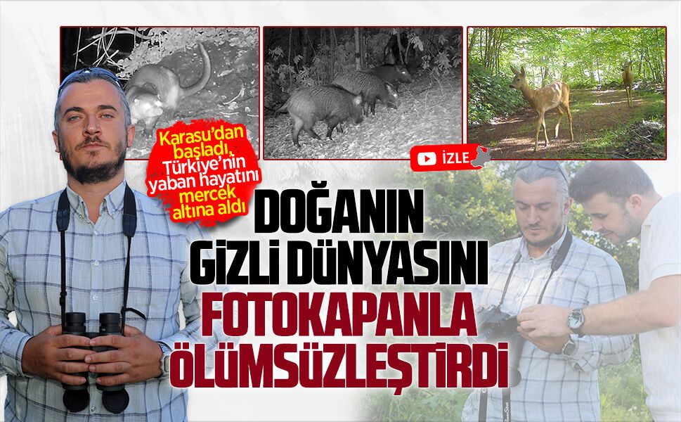 Sakarya’nın yaban hayatı fotokapanlara böyle yansıdı