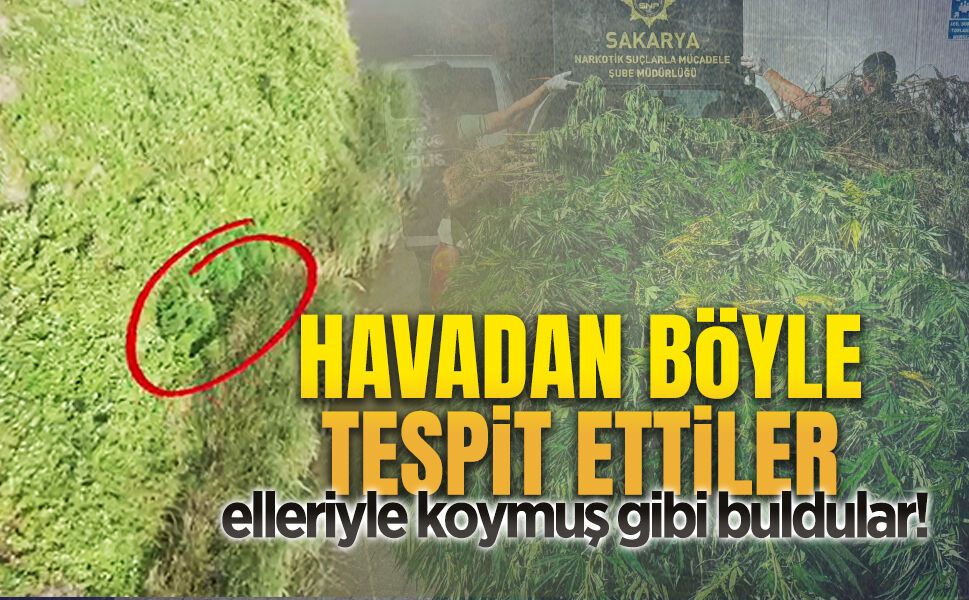 Karasu’da Hint keneviri ve 10 kilo esrar ele geçirildi