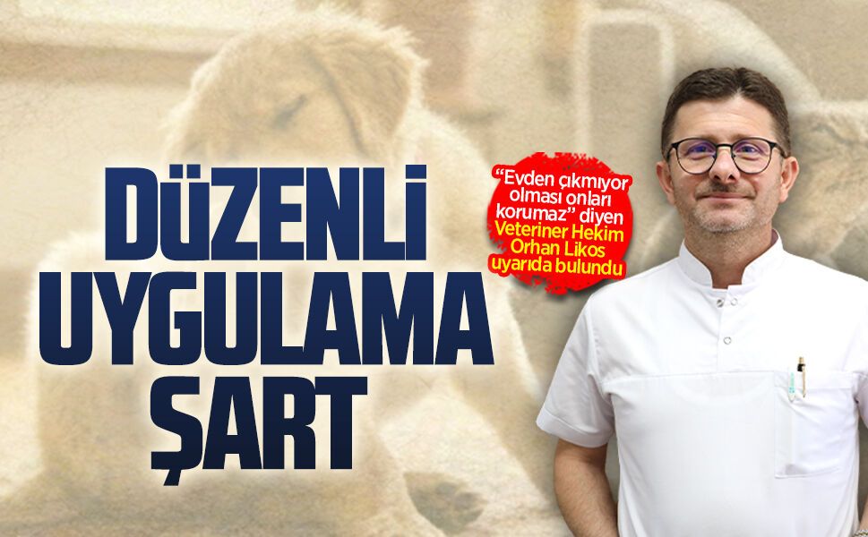 Veteriner Hekim Orhan Likos'tan ayda bir dış parazit uygulaması önerisi