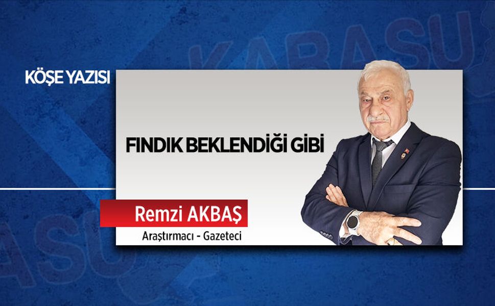 Fındık beklendiği gibi...