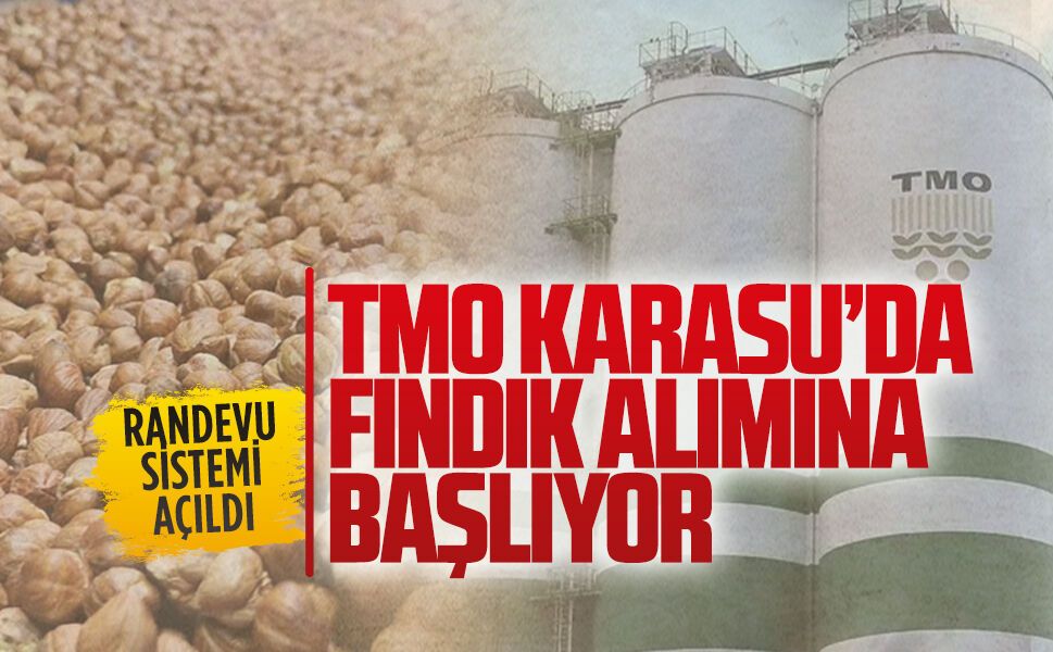 TMO Karasu’da Fındık alımına başlıyor
