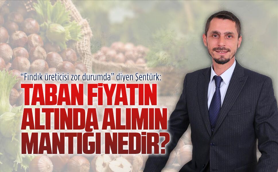 İYİ Parti İlçe Başkanı Şentürk’ten fındık fiyatlarına ilişkin açıklama