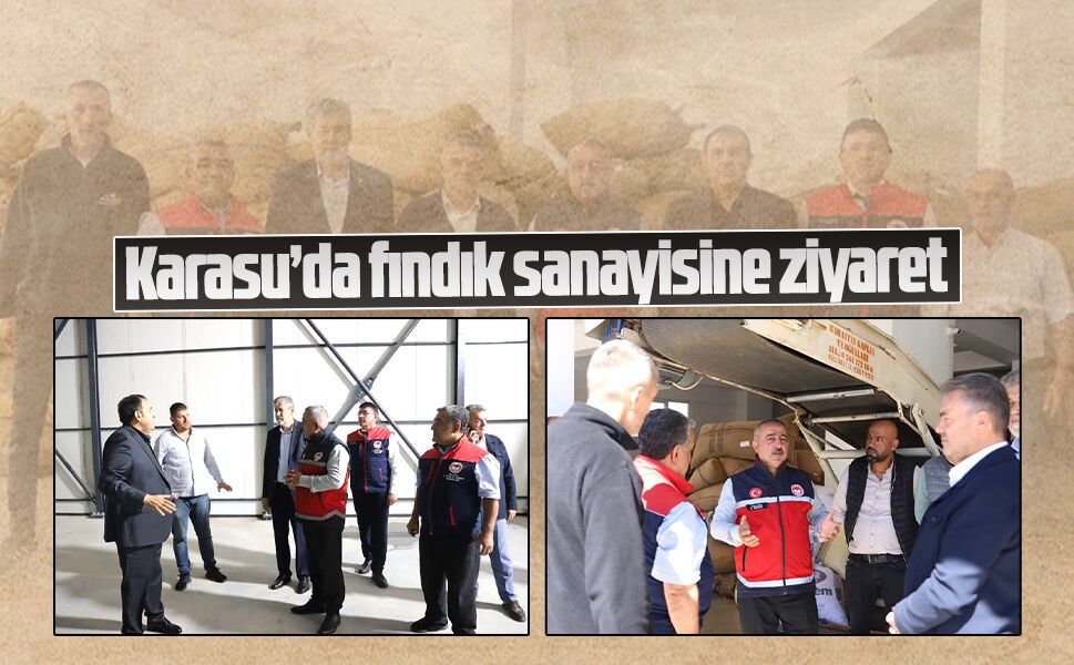 Karasu’da fındık sanayisine ziyaret