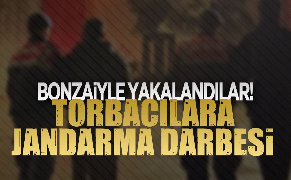 Jandarmadan Karasu’da uyuşturucu operasyonu