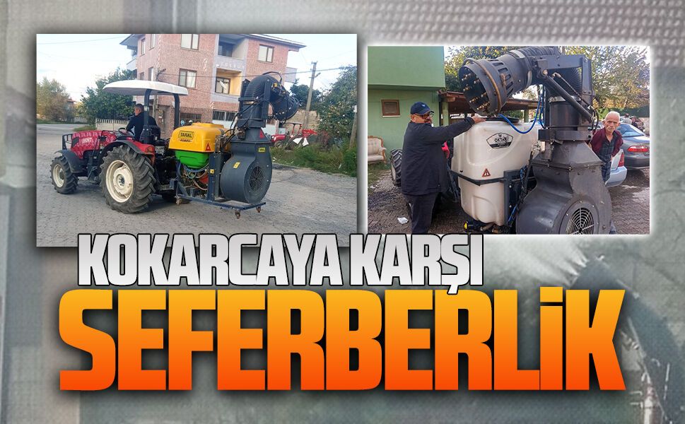 Karasu Mahallesi’nde kahverengi kokarcaya karşı mücadele