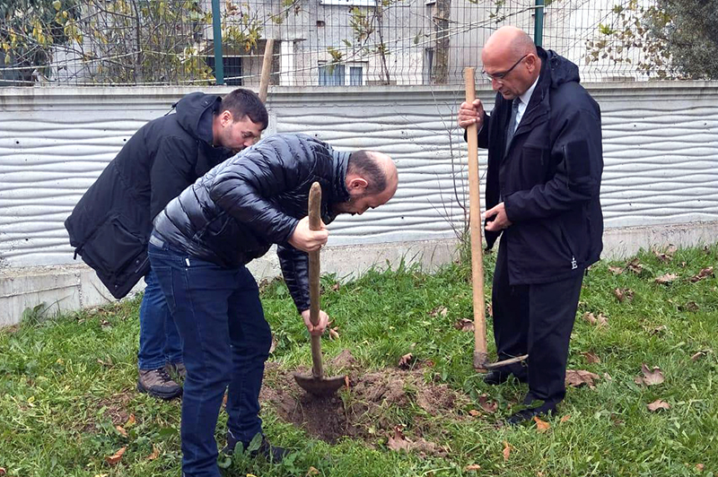 Ülkü Ocakları Ve Mhp Resuller Fidan Dikimi F2