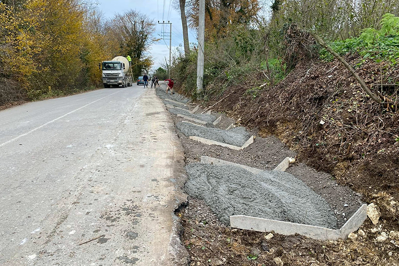 Sakarya Büyükşehir Hürriyet Mahallesi V Kanal F1