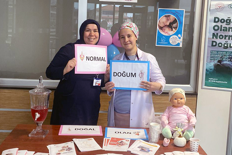 Kdh Normal Doğum Eylem Planı F4