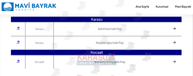 Ekran Görüntüsü 2025 05 22 150143