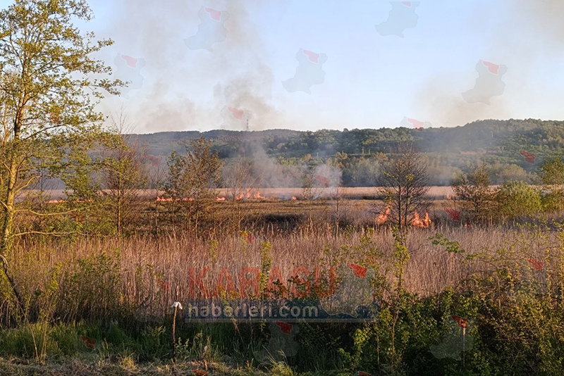 Photo 2025 05 03 19 44 32