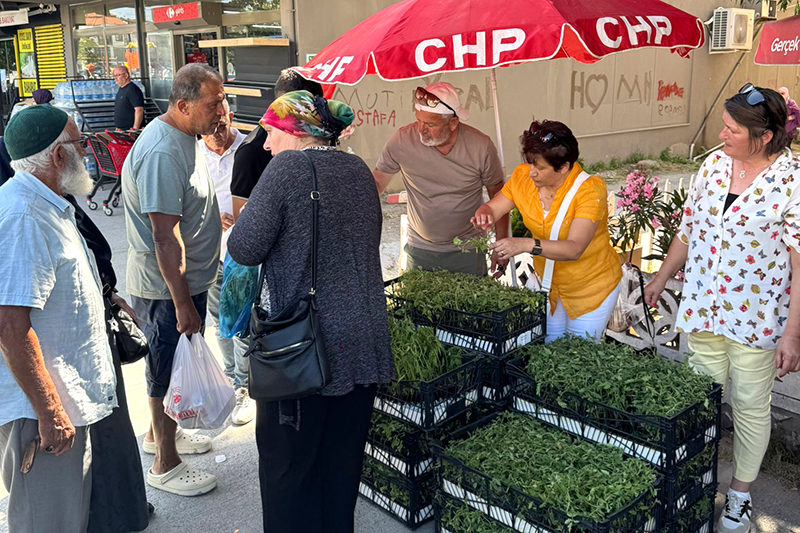 Chp Fidan Dağıtımı F7