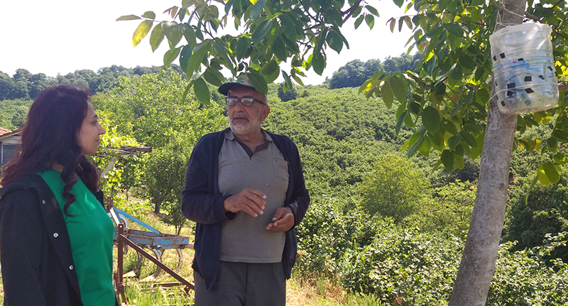 Serap Vildan Ersoy Fındık Uyarı F5