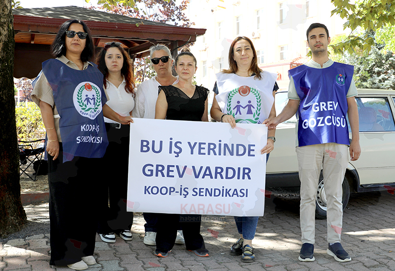 N V T 8263