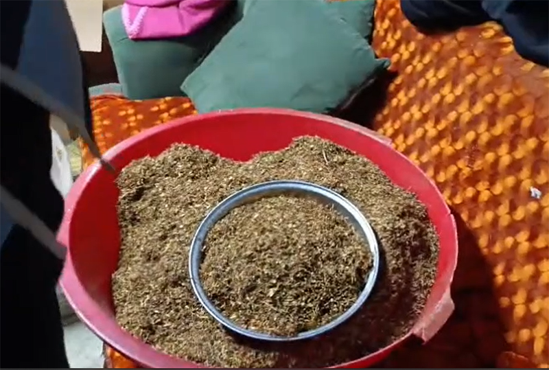 Ekran Görüntüsü 2025 11 11 152424