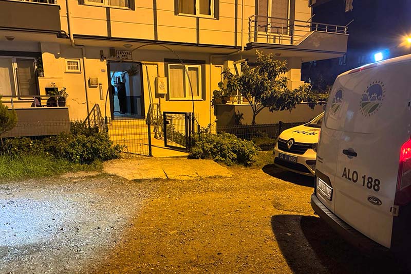 I M G 20251121 W A0010