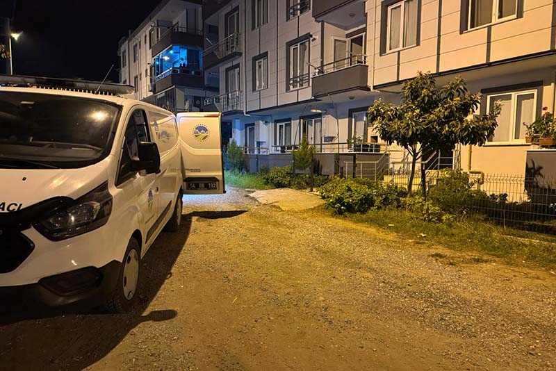 I M G 20251121 W A0011