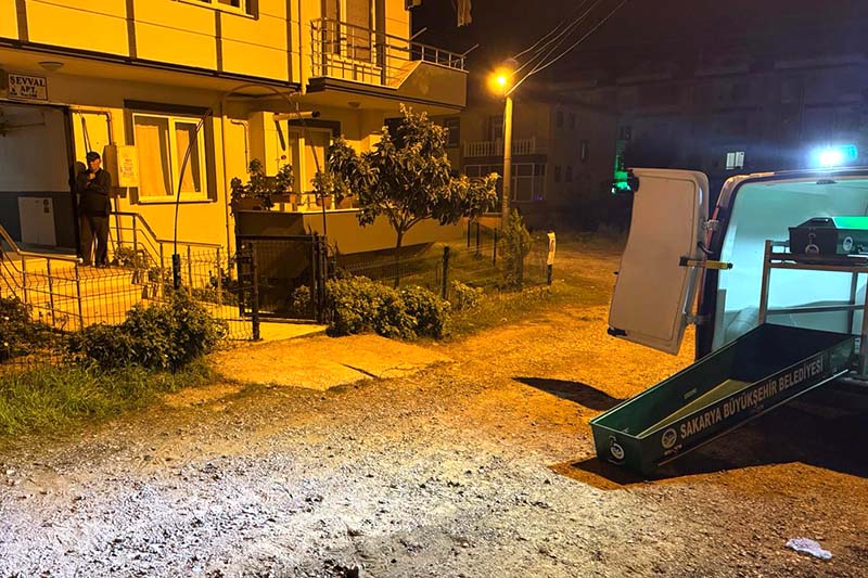 I M G 20251121 W A0012