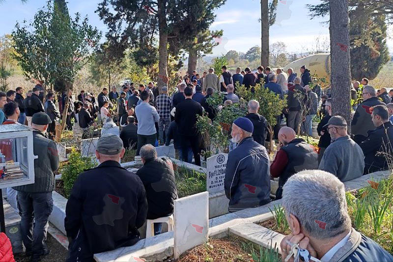 Photo 2025 11 26 13 44 37-1