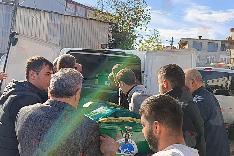 Photo 2025 11 26 13 45 26-1