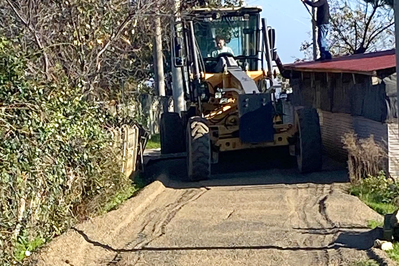 601547416 18522856315070585 5853861332971880950 N