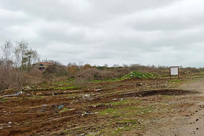 608427785 18549368329059325 4881881153367209013 N