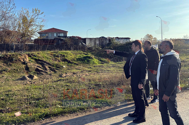 Whats App Image 2025 12 18 At 22.00.36Csfafasg