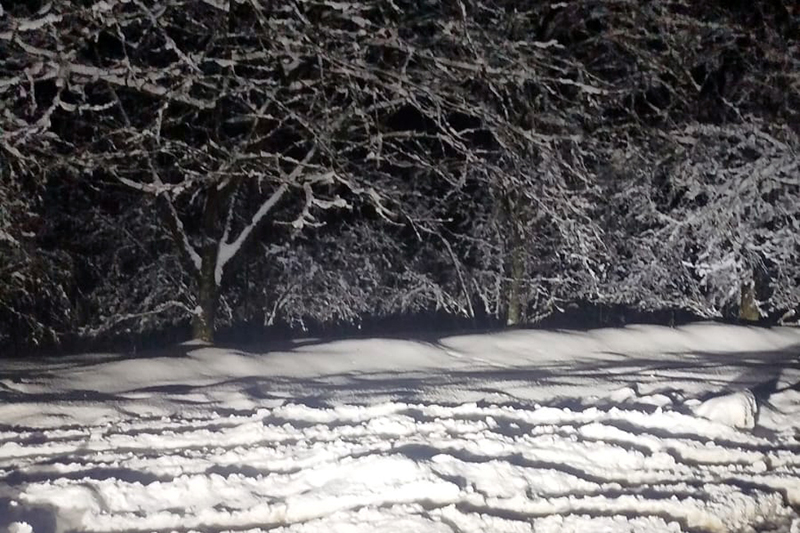 Whatsapp Image 2025 12 28 At 01.48.29-1