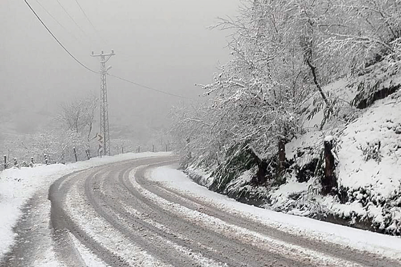 Whatsapp Image 2025 12 28 At 01.49.25-1