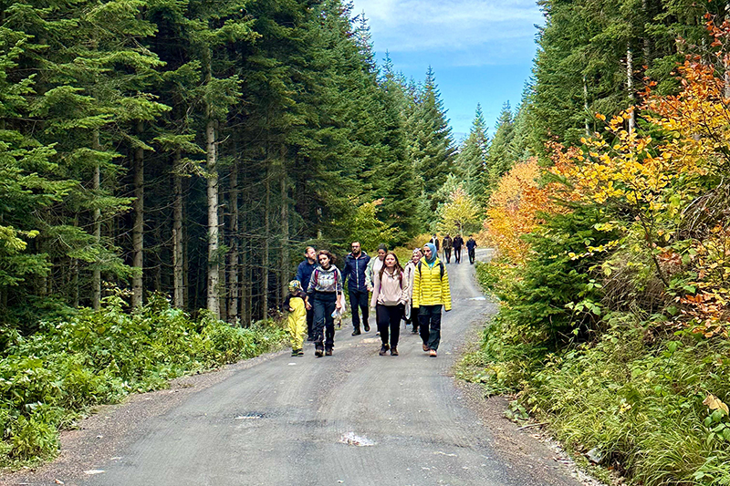 Doğanın Ritmi Sakarya F8