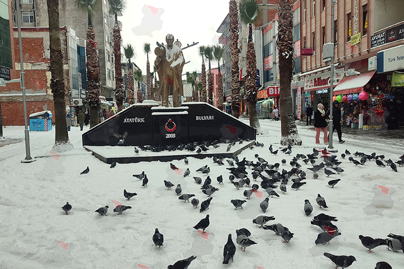 I M G 20260101 103524