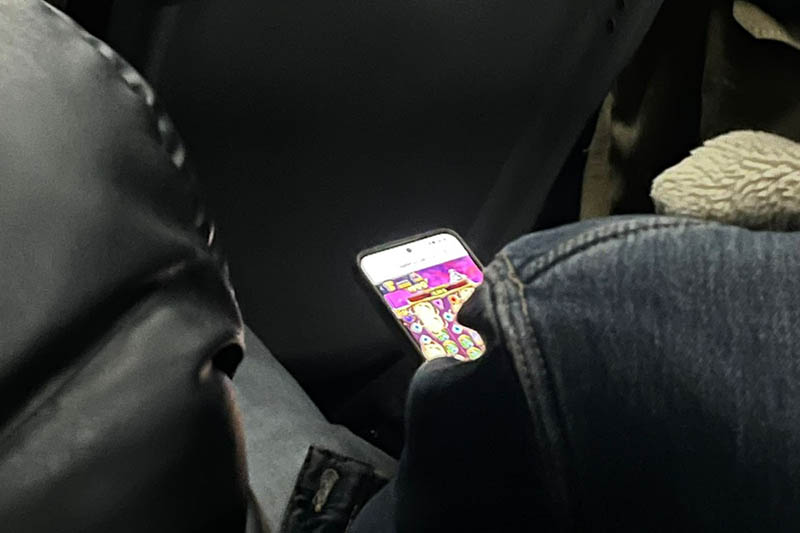 Adapazarı Hendek Otobüsü