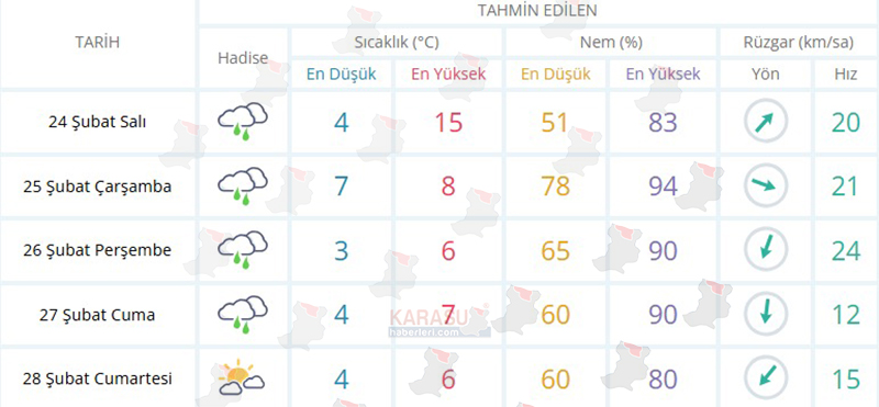 Whats App Image 2026 02 23 At 23.20.46