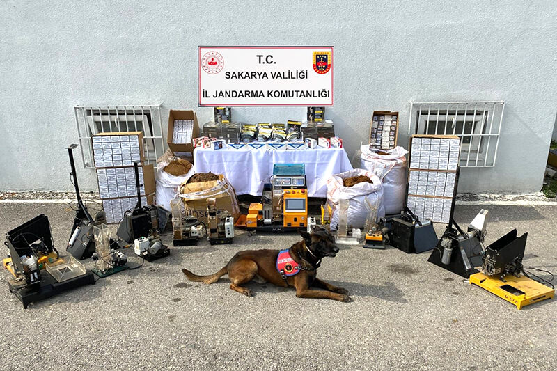 Karasu Geyve Jandarma Operasyon F1