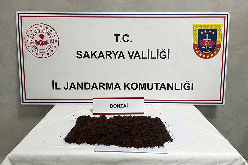 Whatsapp Image 2026 03 31 At 14.13.55Hgh