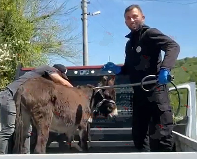 Ekran Görüntüsü 2026 04 29 153917-1