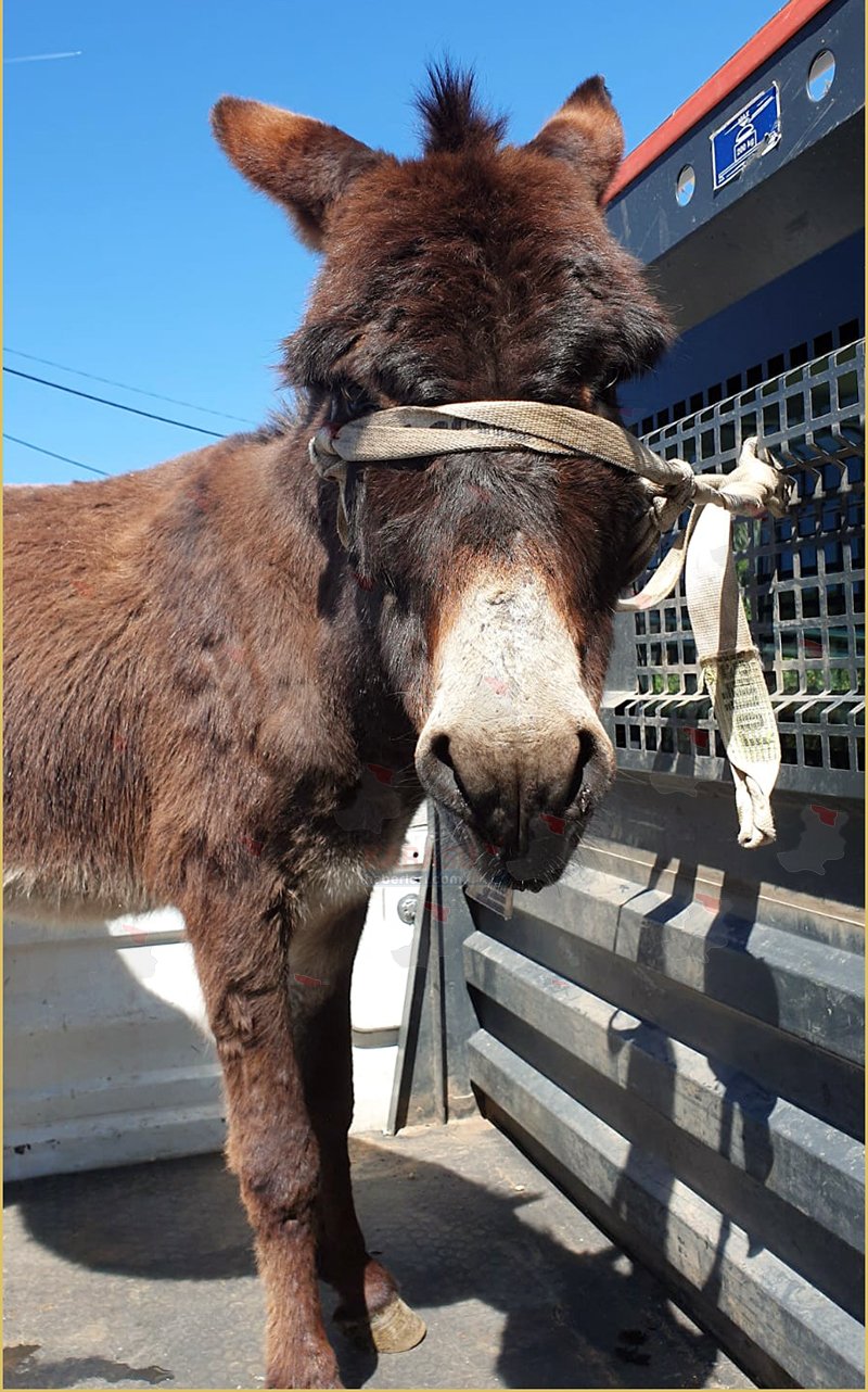 Whats App Image 2026 04 28 At 20.28.03Hjg