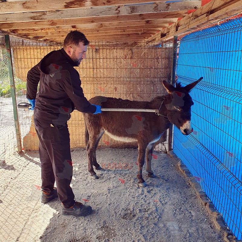 Whats App Image 2026 04 28 At 20.28.04Asd