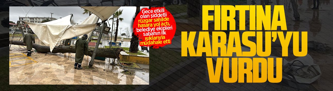 Karasu’da fırtına ağacı devirdi