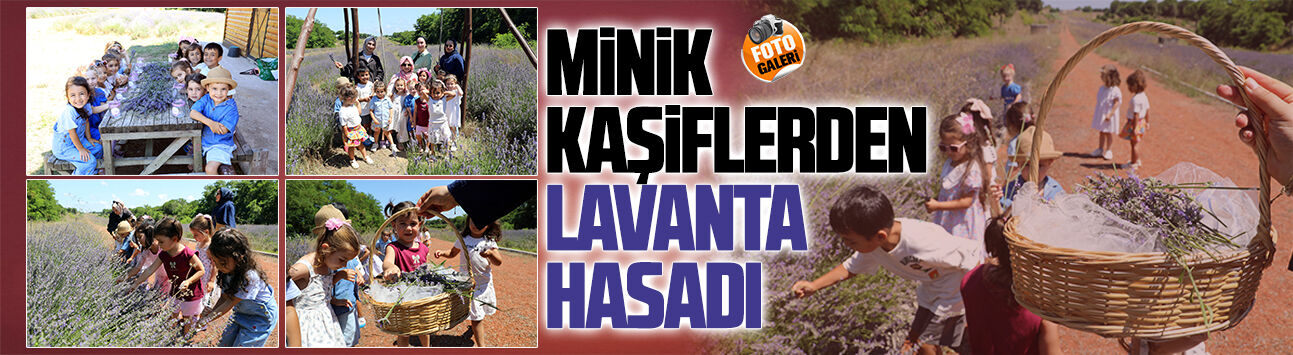 Karasu İlk Adım Gündüz Bakımevi minikleri lavanta bahçesinde