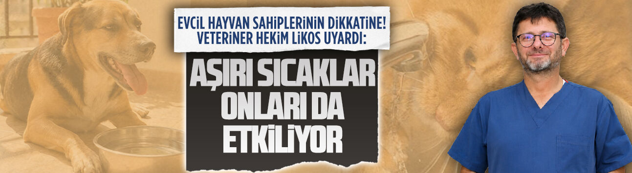 Veteriner Hekim Orhan Likos, evcil hayvan sahiplerine uyarıda bulundu
