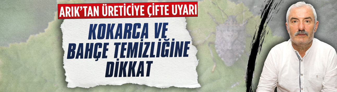 Başkan Selami Arık'tan fındık üreticisine kritik uyarı