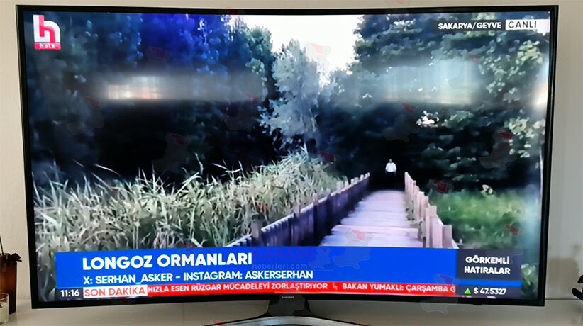 Ekran Görüntüsü 2026 08 01 135241