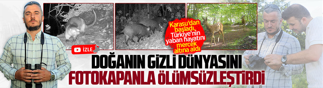Sakarya’nın yaban hayatı fotokapanlara böyle yansıdı