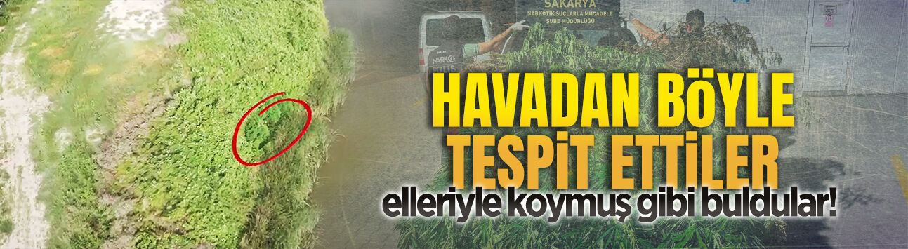Karasu’da Hint keneviri ve 10 kilo esrar ele geçirildi
