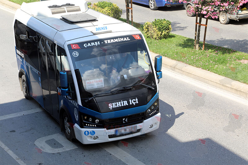 N V T 6061