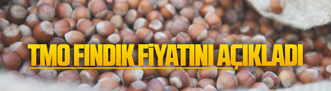 TMO fındık alım fiyatlarını açıkladı