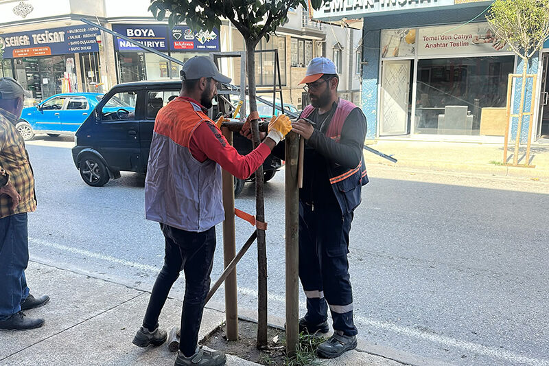 Karasu Belediyesi Park Ve Bahçeler Müdürlüğü Refüj Yenileme Çalışması 11