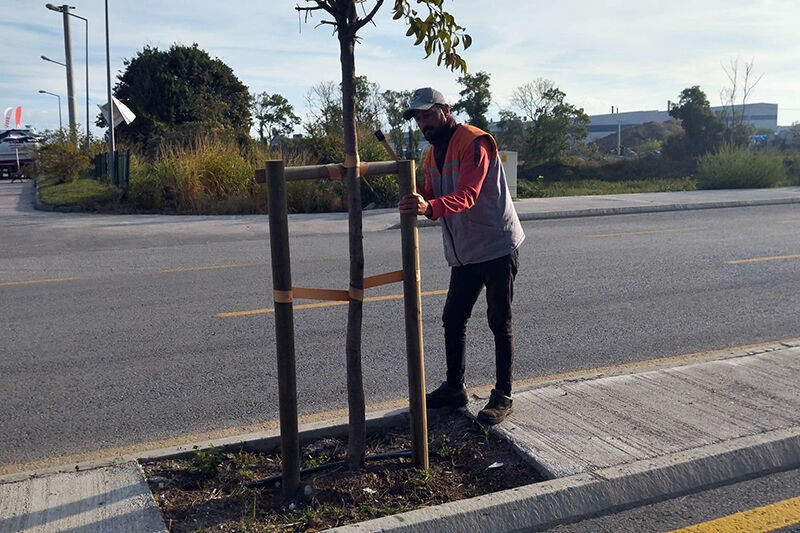 Karasu Belediyesi Park Ve Bahçeler Müdürlüğü Refüj Yenileme Çalışması 12