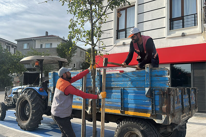 Karasu Belediyesi Park Ve Bahçeler Müdürlüğü Refüj Yenileme Çalışması 13