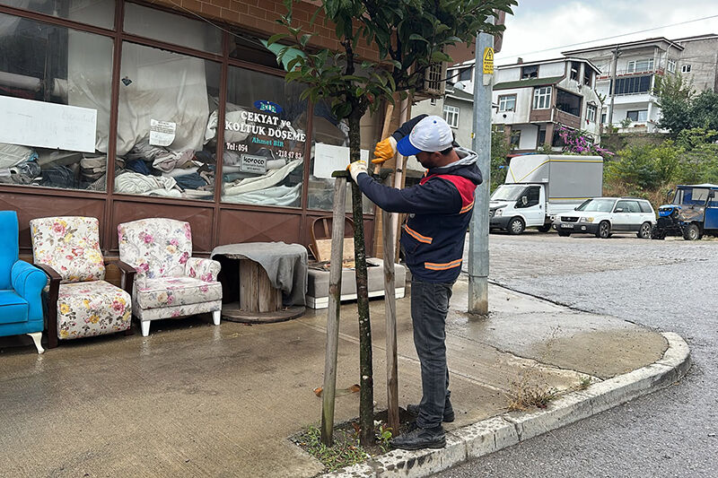 Karasu Belediyesi Park Ve Bahçeler Müdürlüğü Refüj Yenileme Çalışması 19